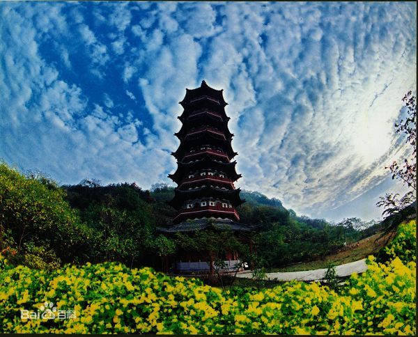 ??????? ?? ????? : ?????? ?? ????? ??????? 