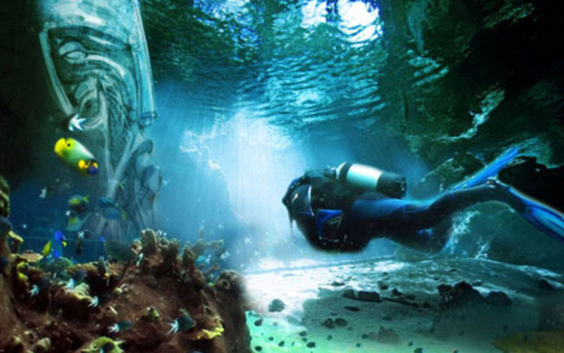 ??? ???? ????? ???? ????? ??? ????? ?? ?????? 