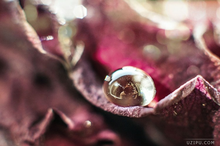 ?????? ?????? ??????? ?????? ????????