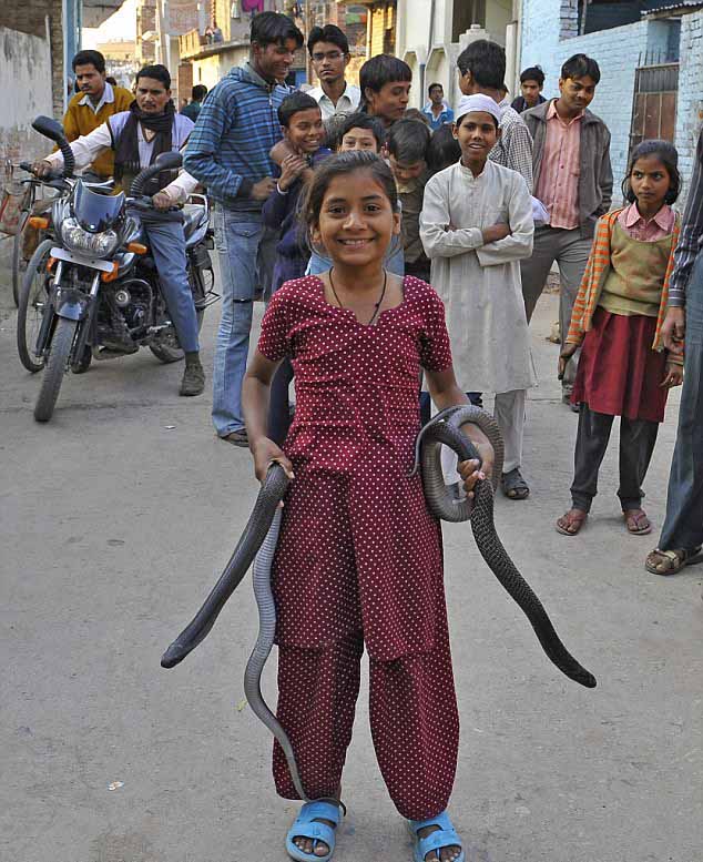 ???? ????? ???? ????? ?? ??????? ??????