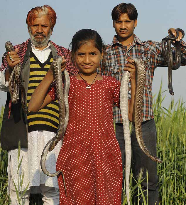 ???? ????? ???? ????? ?? ??????? ??????