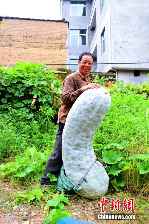 ???? ???? ???? ????? ????? ???? ???? 86.75 ???