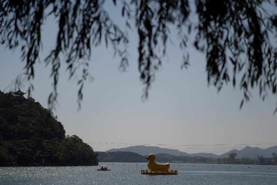 ???? ????? ???????? ??? "????"