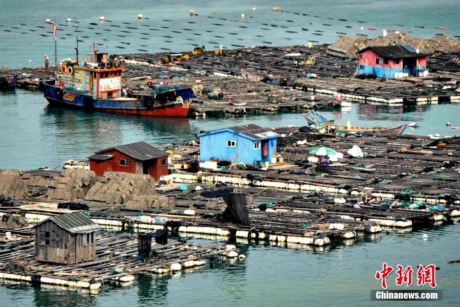 ??? ?????? ?? ????? ????? ???? ??? ??? ?????