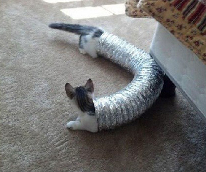 ????????? ??????? ???? ?????? ?????