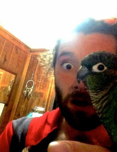 ????????? ??????? ???? ?????? ?????