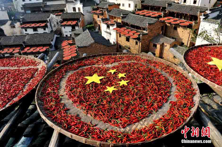 ???? ???? ???? ????? ?????? ??????? ??????? ?????? ??????