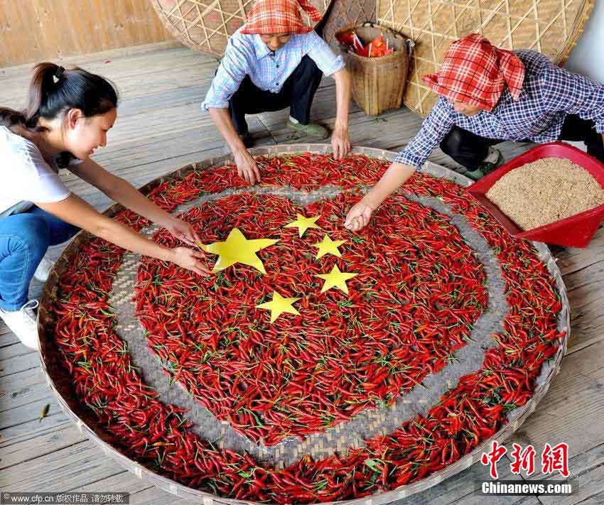 ???? ???? ???? ????? ?????? ??????? ??????? ?????? ??????