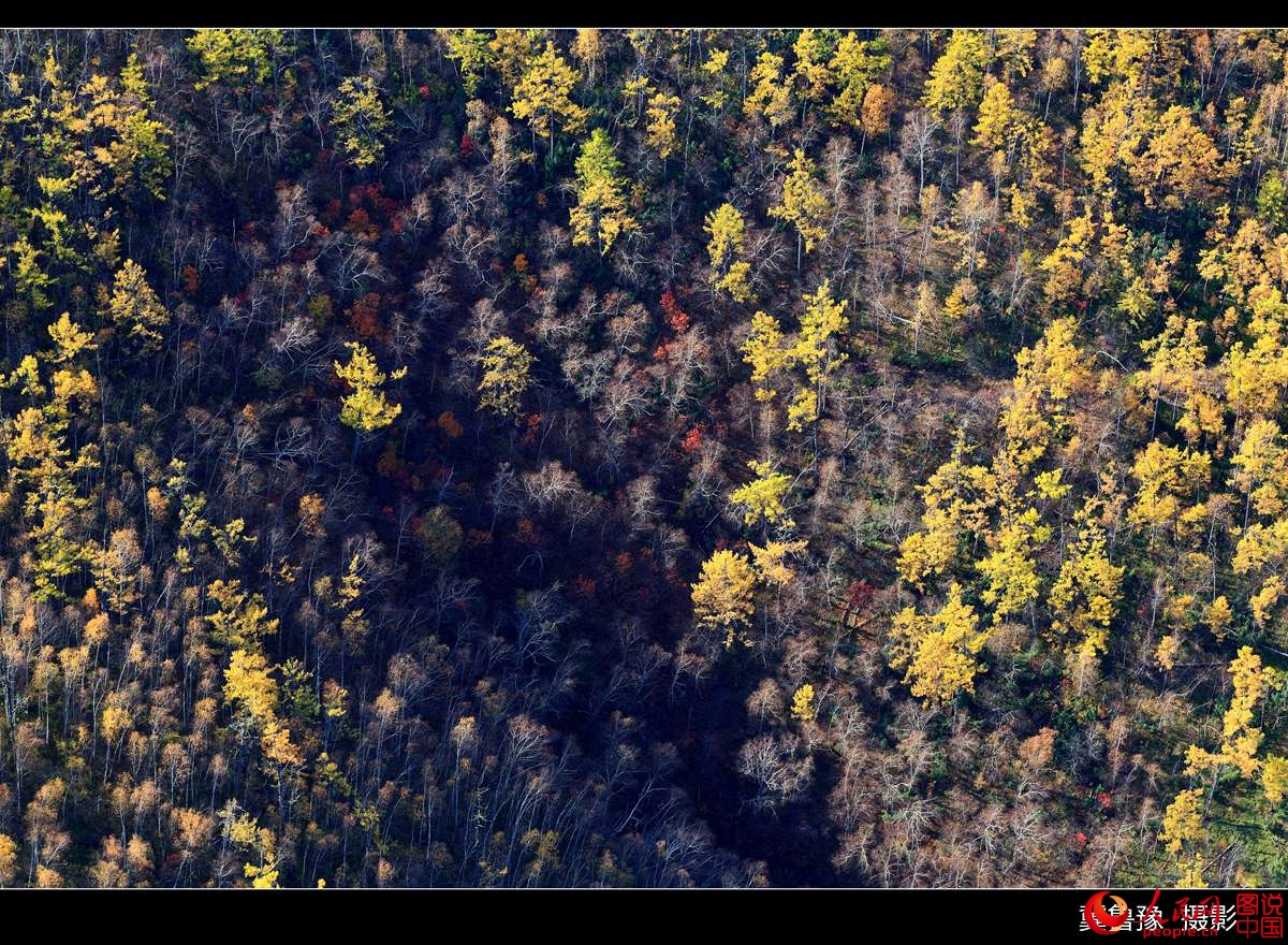 ???? ?????? ?? ???? ???? ?????