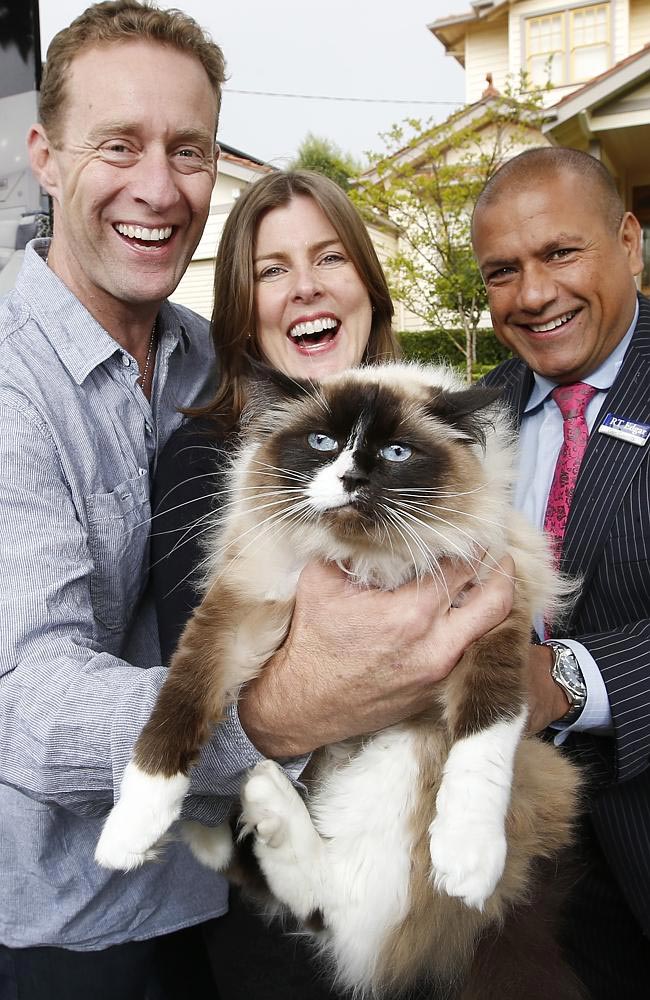 ???? ???? ??? ?? ???????? ?????????? ????? ????? 100 ??? ????? ?????? ?? ??? ?????? ??? ?? ?? ?????? ?? ??? ?????.