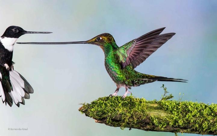 ???? 37 ???? ?? ?????? ???? ??? 2014