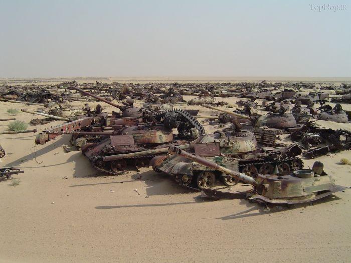 ???? ????? ???????? ?? ??????