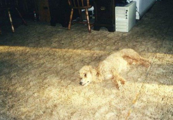 ?? "????????" ?????? ?????????