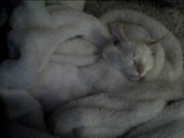 ?? "????????" ?????? ?????????