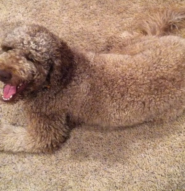 ?? "????????" ?????? ?????????