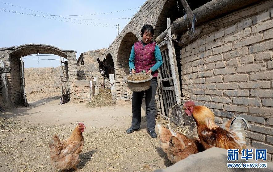 ??? ??????: ???? ????? ?????? ???