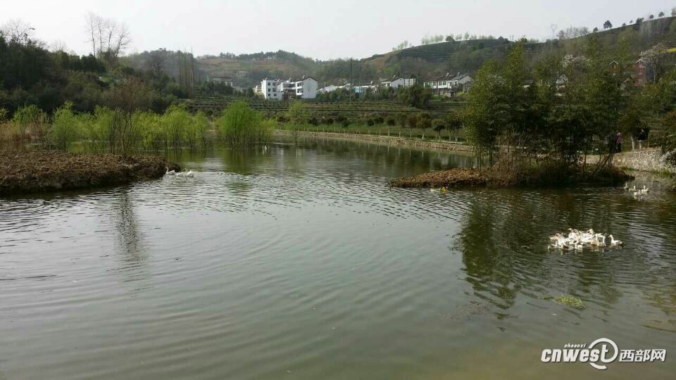 ???? ?????? ?? ?????? ???????? ??????? ???? ??????