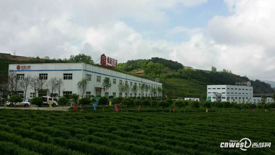 ???? ?????? ?? ?????? ???????? ??????? ???? ??????