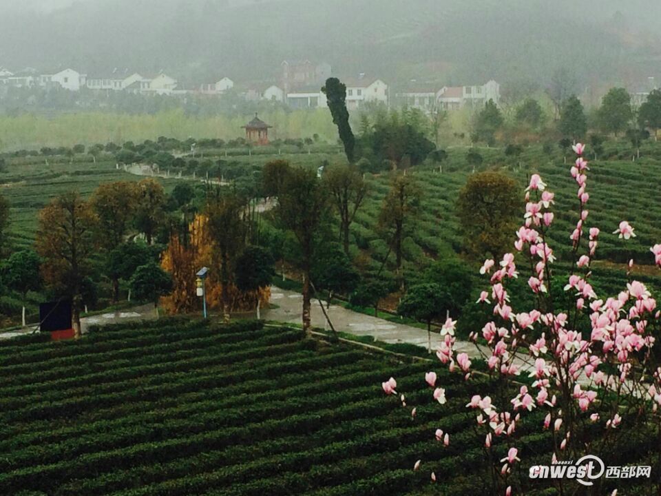 ???? ?????? ?? ?????? ???????? ??????? ???? ??????