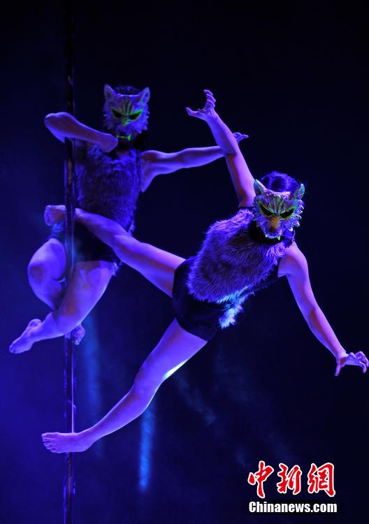 ?????? ????? ?????? ???? ?????? ???? 2015 ?? ????