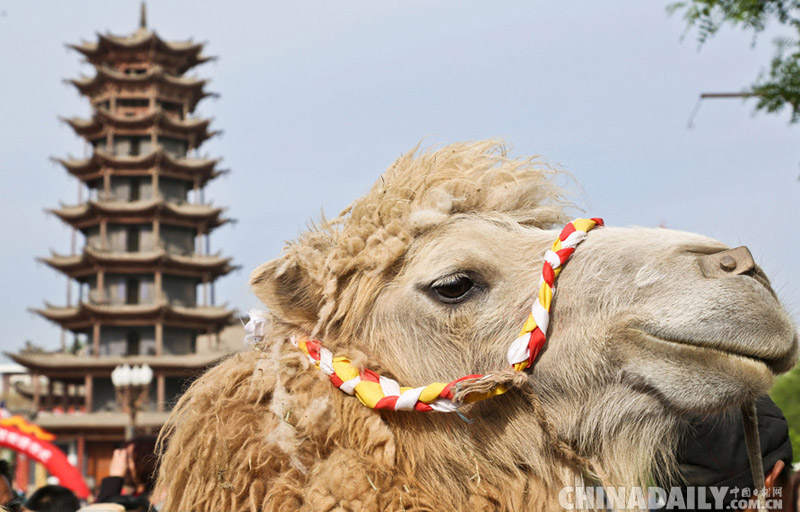 ????? ?????.. ????? ?? 136 ???  ???? ???  ???? ?????? ?? ????