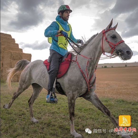 ???? ??? .. ????? ?? ?????? ??? ???? ?????