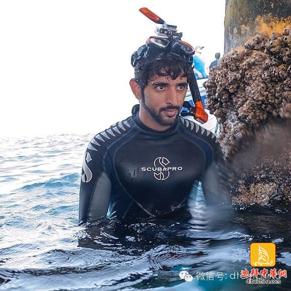 ???? ??? .. ????? ?? ?????? ??? ???? ?????