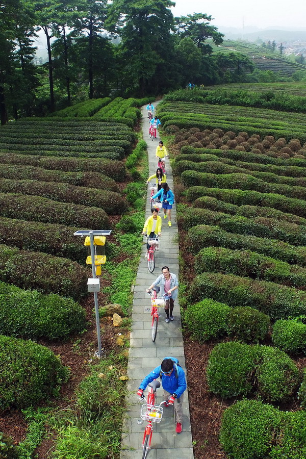 ?? ?????? ???????? ??? 19 ???? ?????????? ?????? ???? ??????? ?????? ?????? ??????? ????? ????????.