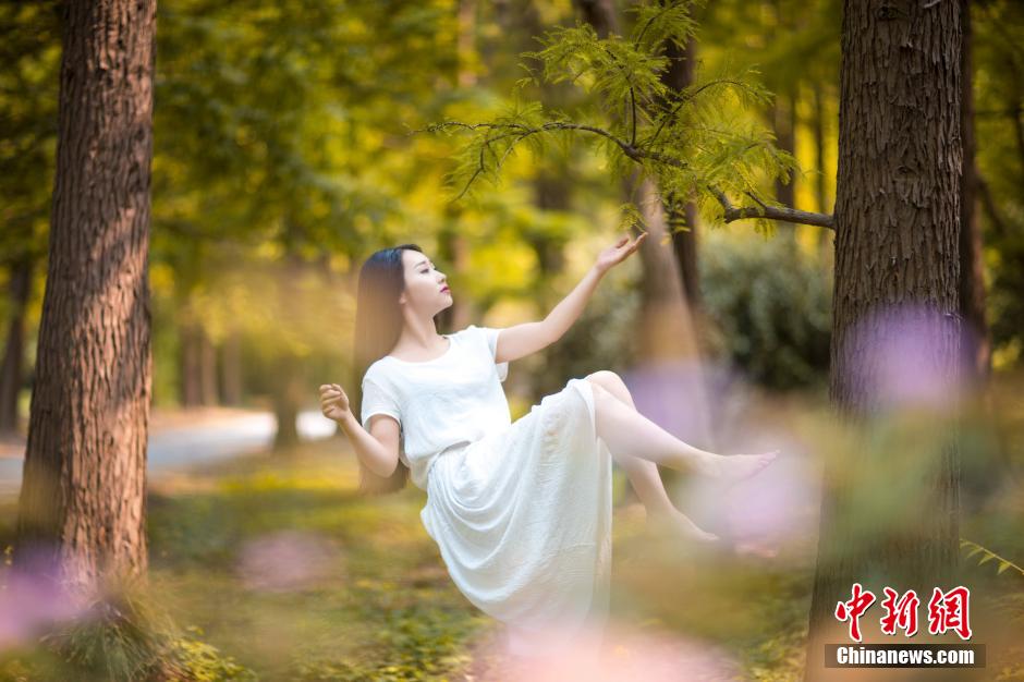 ????? ??? ?????? ???? ????? "?????" ?? ??????