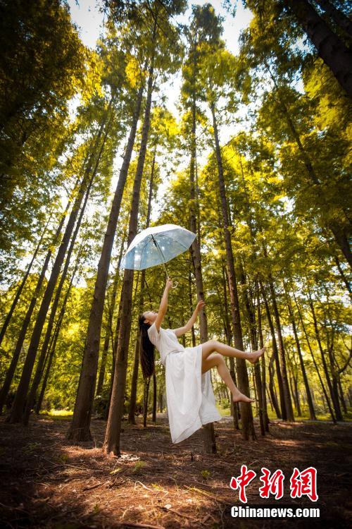 ????? ??? ?????? ???? ????? "?????" ?? ??????