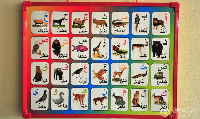 ???: ?????? ??????? ?????? ?????  ?????? ?? ????