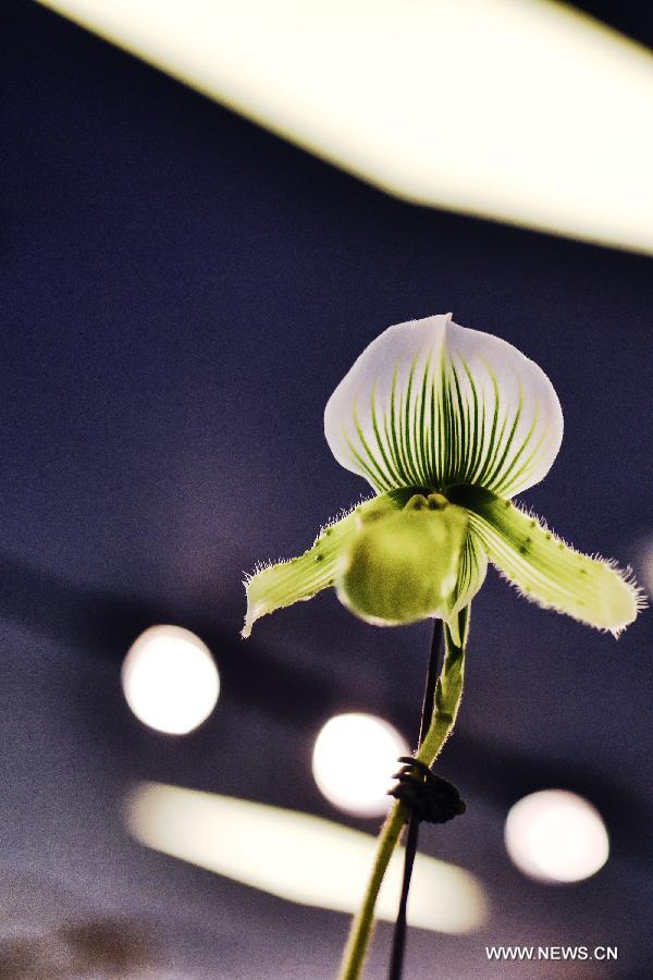 ?????? ???? ??? ???????? ?? ???????