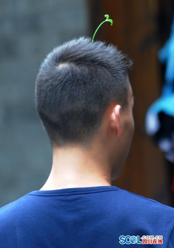 "???? ???????" ???? ???? ??? ????? ???? ????? ?? ??????