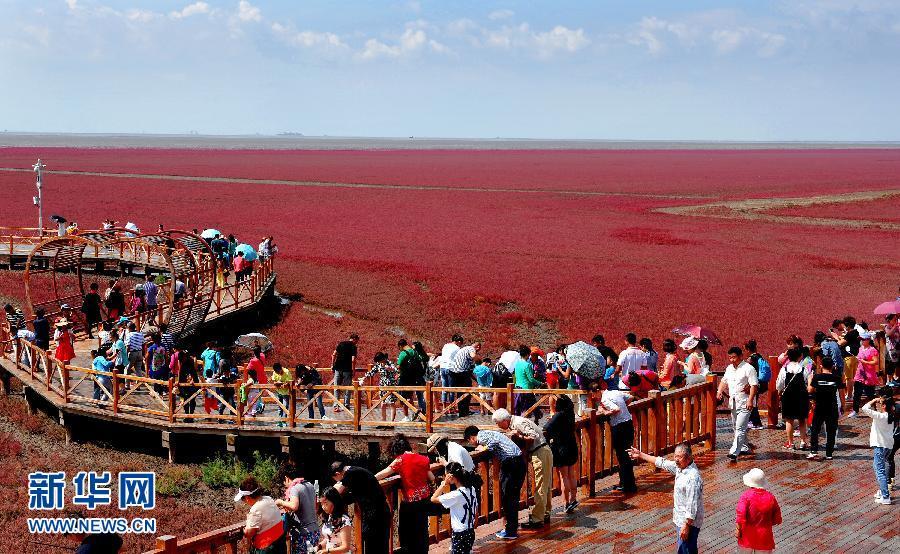 ????? ?????? ???????－???? ????? ?????? ?? ???? ???? ?????