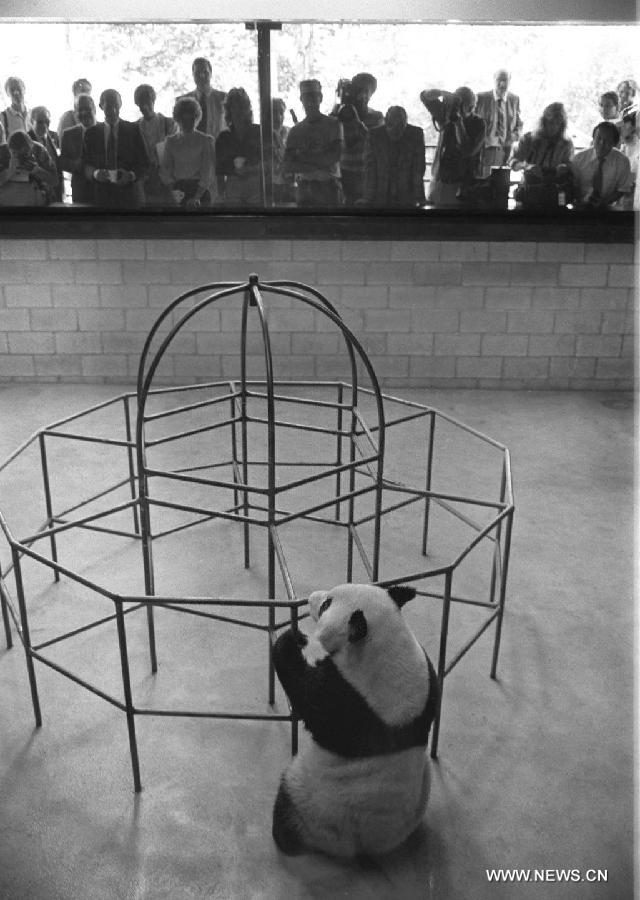 ??????? ???????? ?? ???????? ???????: ??? ???????? ??????? ?????????