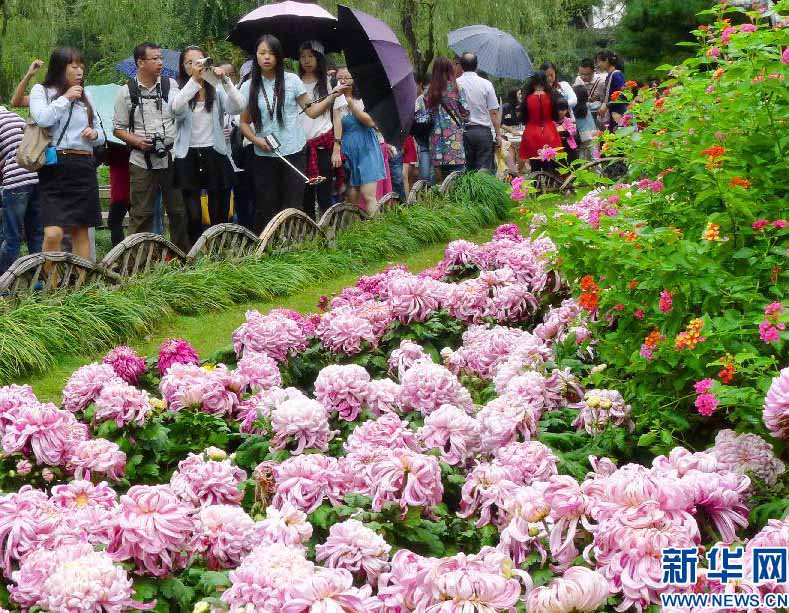 ?????? ??????? ????????? ?? ????? ??????? ??????