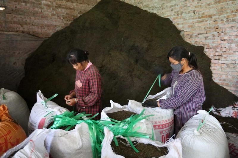 ????? ???? ????????????? ?????? ??? ?????? ?????? ??????? ?? ?????? ??? 2015.