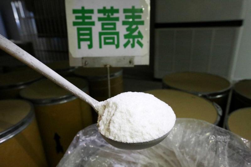 ?????? ???: ???? ????? ?????? ???? ????????????? ?? ?????