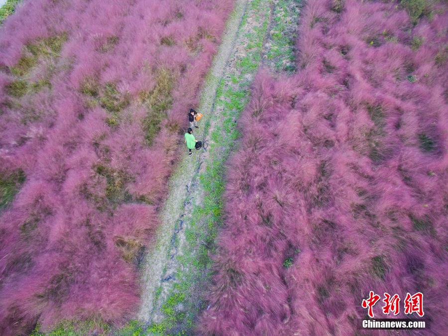 "???? ?????" ???? ?????? ?? ????? ???????