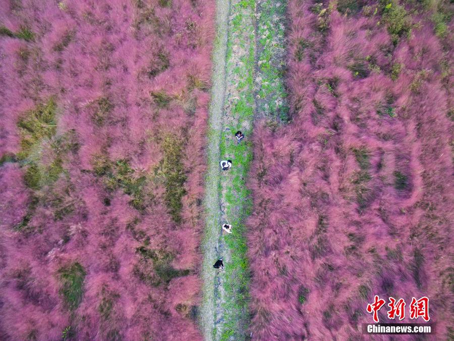 "???? ?????" ???? ?????? ?? ????? ???????