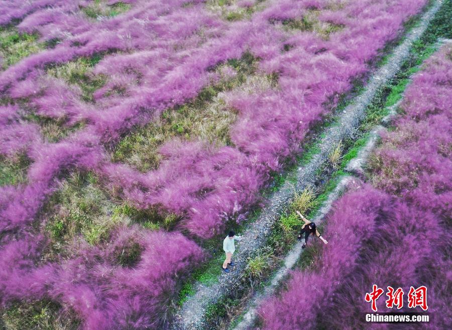 "???? ?????" ???? ?????? ?? ????? ???????