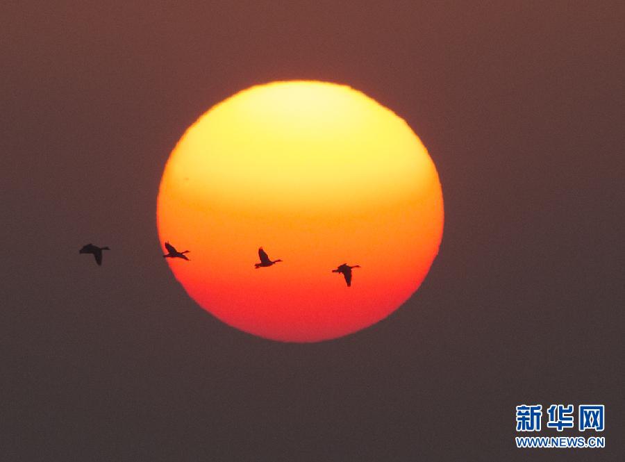 ????? ?????? ?????? ????? ??????