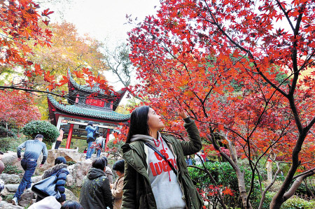 5: ??? ???? ??????? ????????? ??????: ?? ????? ?????? ??? ????? ??????