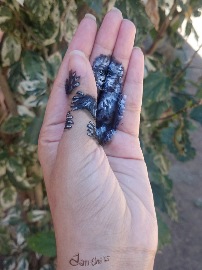 ????? ???? ????? ??? ????? ??????? ??? ?????