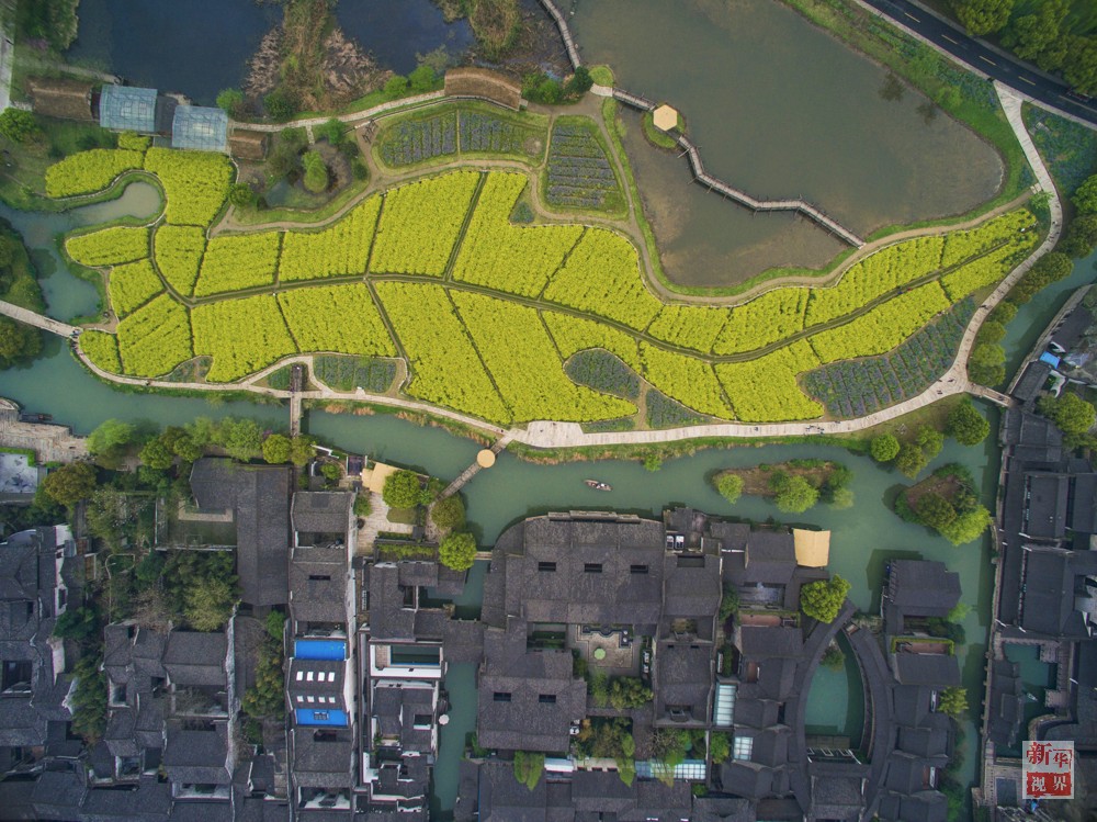 ?????? ??? ????? ????? ????????