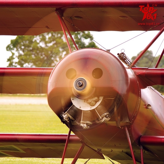 ???.."?????? ????" ????? ????????