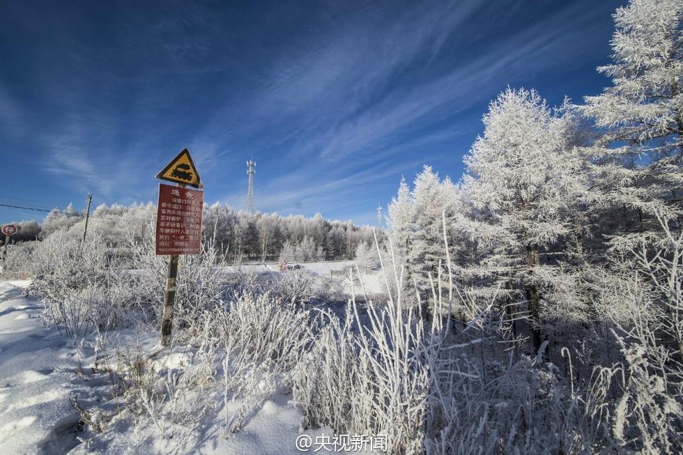 ???? ???? ?????? ?? ???? ???? ?????