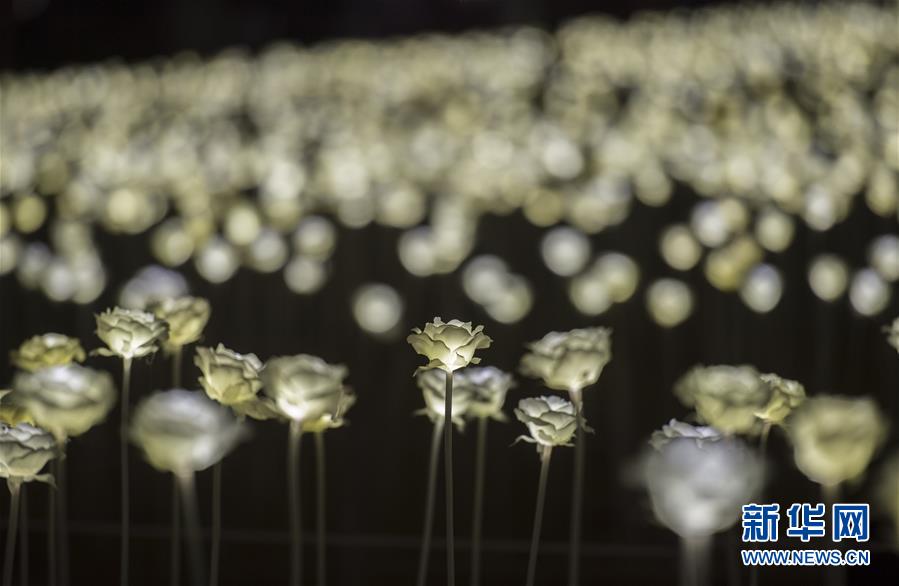 ?????? ???? ?????? ???? ????? ???????? ?? ???? ???? ???????? ??? ?????