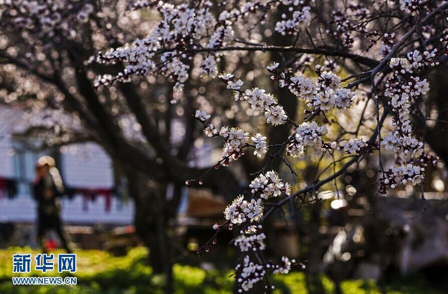 ??????? ??????? ?? ??????? ??????? ?????????