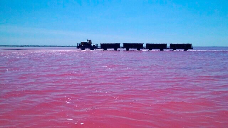 ????? ?? ????? ????? ??? ?????? ??? ?????? ?? ?????